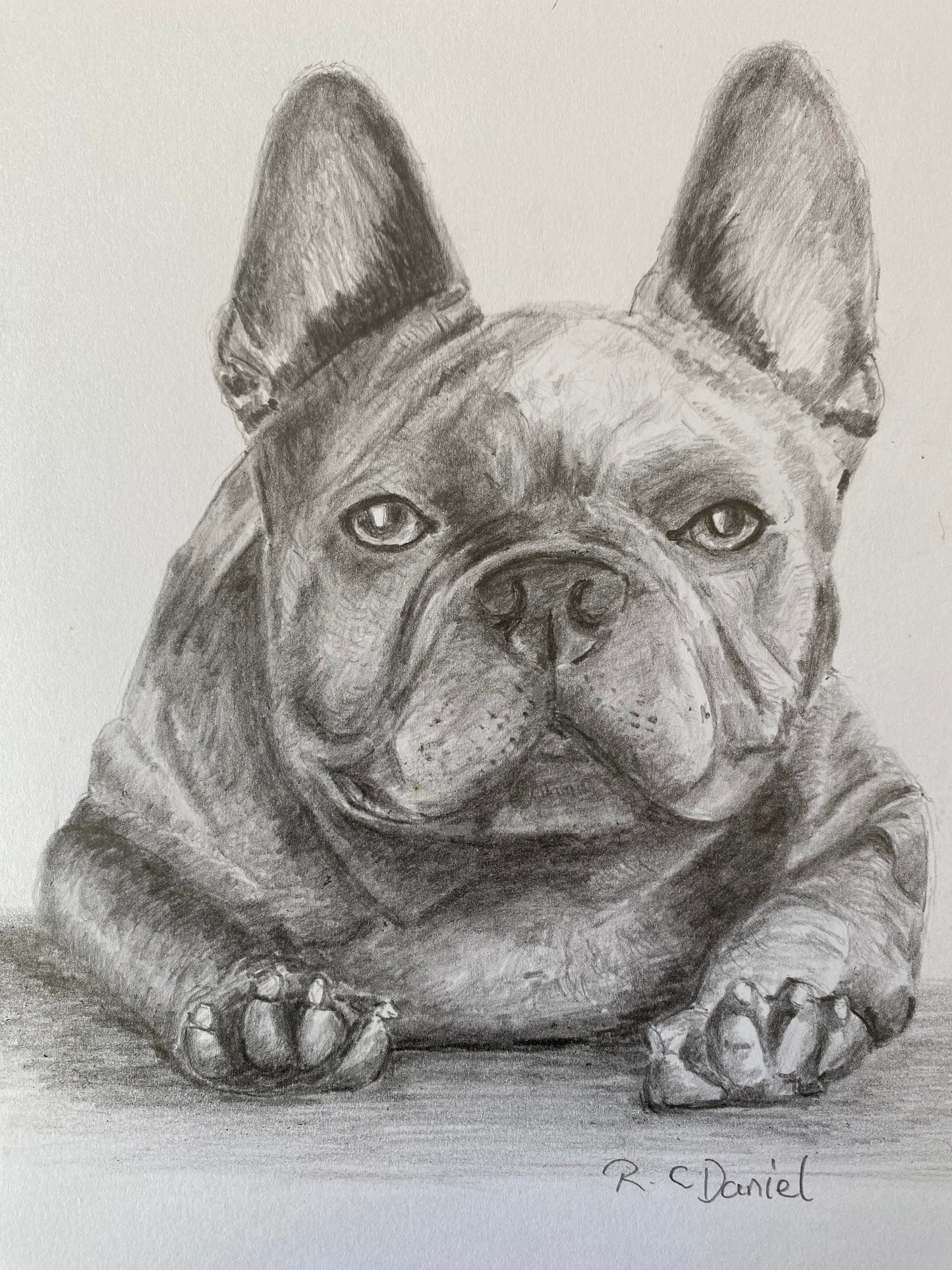 PRINT: French Bulldog.